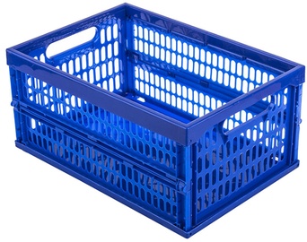 Hoiukast Curver, sinine, 430 x 340 x 240 mm
