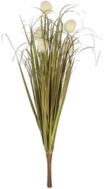 Home4you Bouquet Herbarium 5pcs In Garden H59cm White 83851