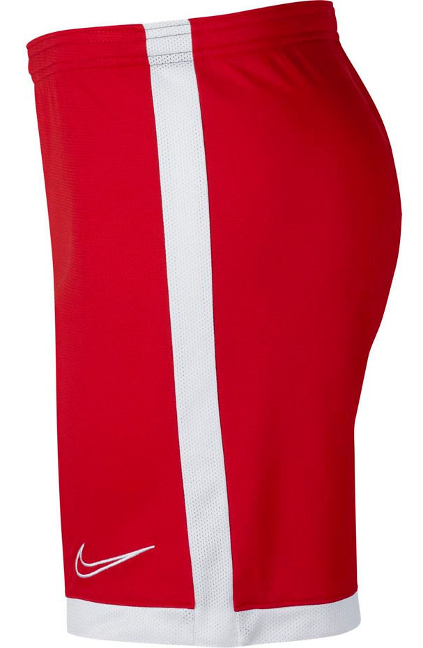Šortai Nike Men's Shorts Academy AJ9994 