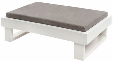 Myanimaly Dog Stool 60x40cm