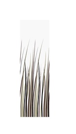 Vannitoakardin Domoletti GS-006, valge, 180 cm x 180 cm