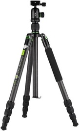 Genesis Base C3 Kit Green
