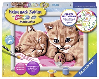 Ravensburger Painting By Numbers Cuddly Friends 280124