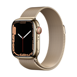 Умные часы Apple Watch Series 7 GPS + LTE 41mm Stainless Steel, золотой