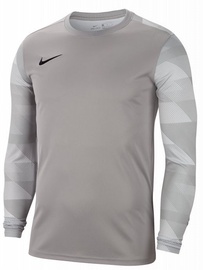 Krekls ar garām piedurknēm, vīriešiem Nike Dry Park IV, pelēka, 2XL