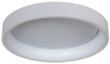 Светильник потолочный Light Prestige Georgia LP-049/1C WH, 36 Вт, LED, 3000 °К
