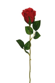 MĀKSL.ROZE 55 CM 80-347992 T.SARK.