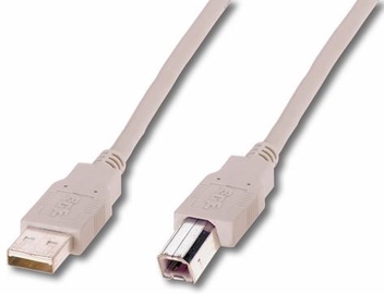 Juhe Assmann USB/USB, liivakarva pruun, 5 m