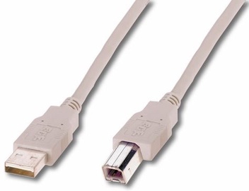 Vads Assmann USB/USB USB 2.0 A male, USB 2.0 B male, 5 m, smilškrāsas