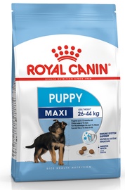 Sausā suņu barība Royal Canin Puppy, vistas gaļa/cūkgaļa, 15 kg