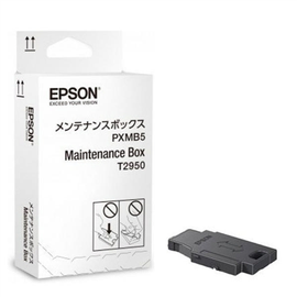 Printeri hoolduskomplekt Epson C13T295000
