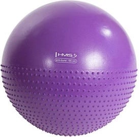 Гимнастический мяч HMS, фиолетовый, 550 мм