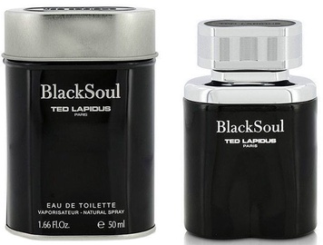 Tualetes ūdens Ted Lapidus Black Soul Men 50ml EDT