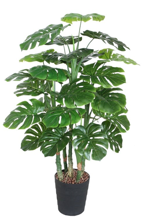 Искусственное растение в горшке, монстера Home4you Monstera, зеленый, 120 см