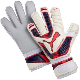 Vārstusarga cimds Puma Evo Power Grip 2 Aqua Gloves 041145 15 Size 9.5