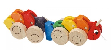 Woodyland Color Pull Along Centipede 90135