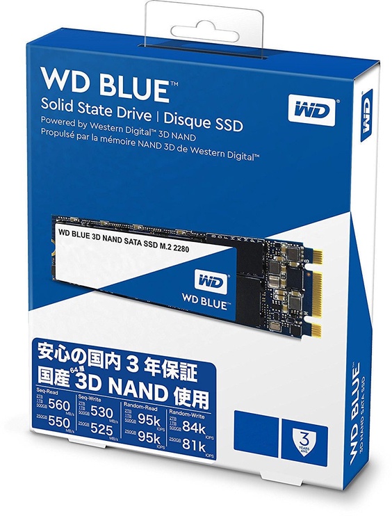Kietasis diskas (SSD) Western Digital Blue WDS500G2B0B, M.2, 500 GB