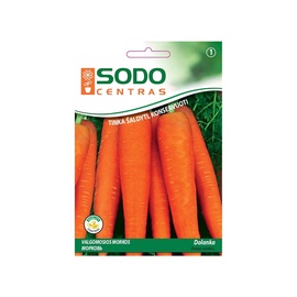 BURKĀNU SĒKLAS DOLANKA (SODO CENTRAS)