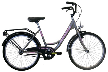 Jalgratas Frejus DH1L24000F 24" Grey 19