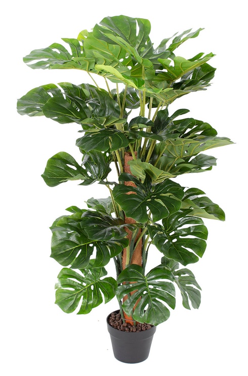 Mākslīgais augs podiņā, monstera Home4you Monstera Artificial, zaļa, 105 cm