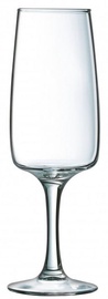 Luminarc Equip Home Champagne Glass 17cl