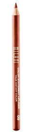 Карандаш для губ Milani Color Statement 09 Spice