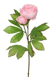 Искусственный цветок пион, розовый, 680 мм