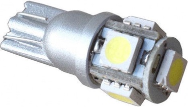 Bosma 5SMD-LED T10 24V Light Bulb