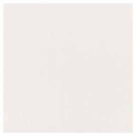 Akmens masės plytelės „Maxima“ White