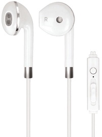 Ausinės Forever GSM036398 Earpods White