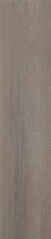Paradyz Ceramika Floor Tiles Pago 21.5x98.5cm Dark Mat