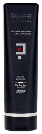 Šampoon Salerm, 250 ml