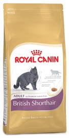 Royal Canin FBN British Shorthair 4kg
