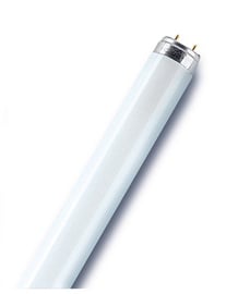 Лампочка Osram Люминесцентная, теплый белый, G13, 36 Вт, 3350 лм
