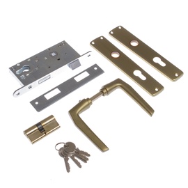 Iemontējamā slēdzene Vagner SDH ZV45 406Z, krāsots