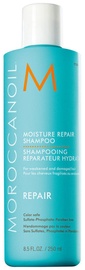 Šampoon Moroccanoil Moisture Repair, 250 ml