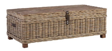 Kafijas galdiņš Home4you Egros Rotang, 1200x600x390 mm