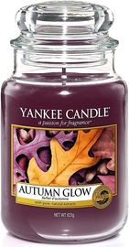 Yankee Candle Classic Large Jar Autumn Glow 623g