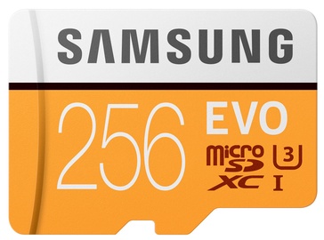 Samsung Evo 256GB microSDXS Class 10 + Adapter