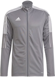 Pintsak, meeste Adidas, hall, L
