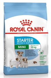 Koera kuivtoit Royal Canin SHN Mini Starter 8.5kg