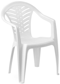 Verners Malibu White