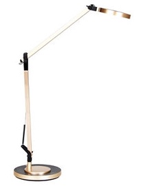 Verners 148703 ALBERTINA