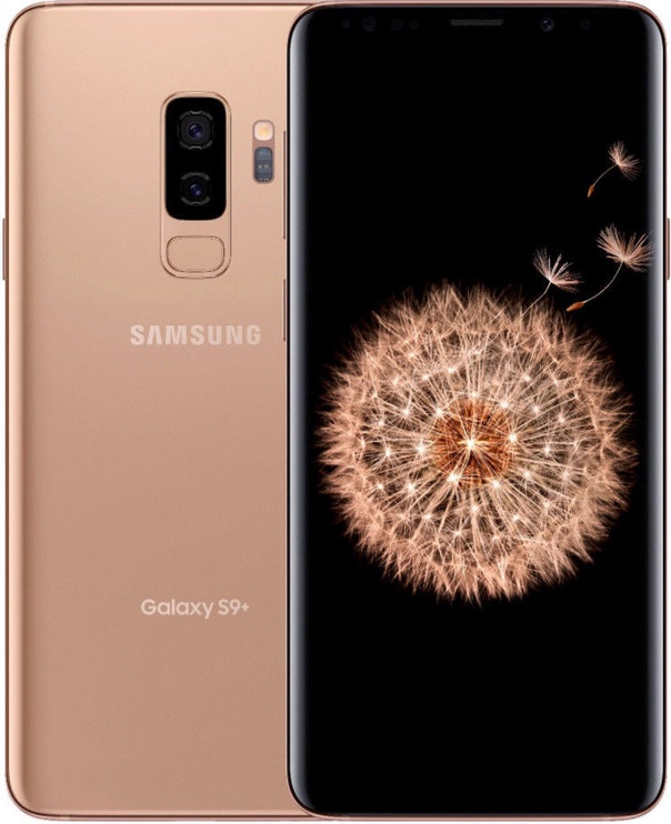 Mobilusis telefonas Samsung Galaxy S9 Plus, aukso, 6GB/64GB