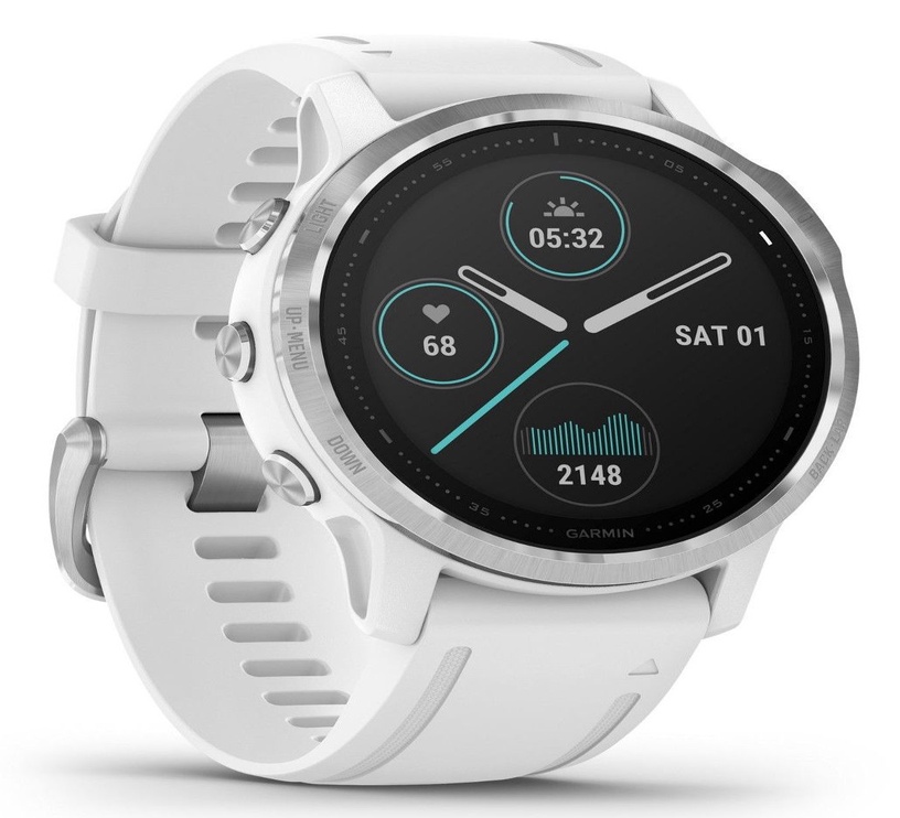 garmin fenix 6s silver
