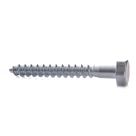 PUIDUPOLT 10.0X80 BALT ZN(100-400)