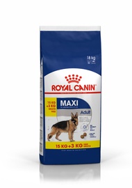 Sausā suņu barība Royal Canin SHN Maxi Adult, 18 kg