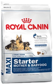Royal Canin SHN Maxi Starter 15kg
