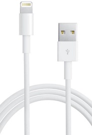 Laidas Forever, USB/Apple Lightning, balta