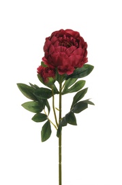 Искусственный цветок, пион, красный, 660 мм